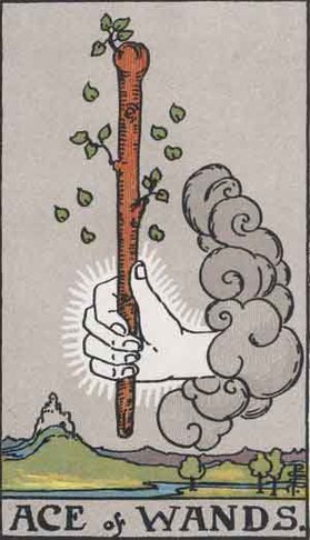 The Ace of Wands card in the Rider-Waite tarot deck